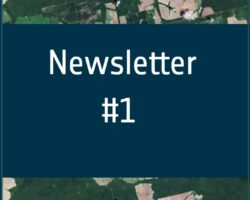 Newsletter #1