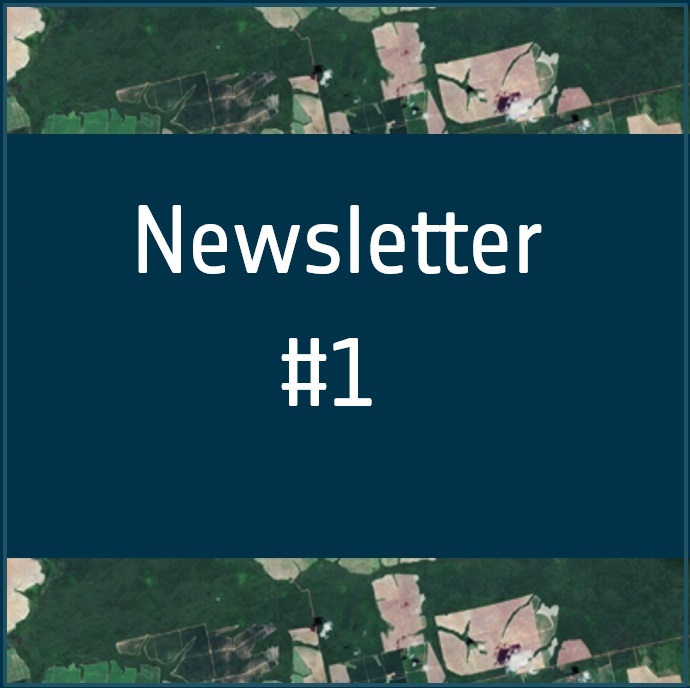 Read more about the article Newsletter #1